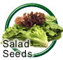 Salad Seeds