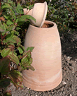 Small Image of 60cm Terracotta Rhubarb Forcer / Clay Cloche