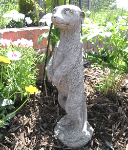 Garden on Meerkat Stone Garden Ornament Statue    49 99 Free Delivery Available