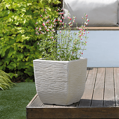 Image for: Planters & Tubs