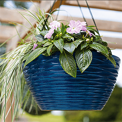 Image for: Hanging Baskets