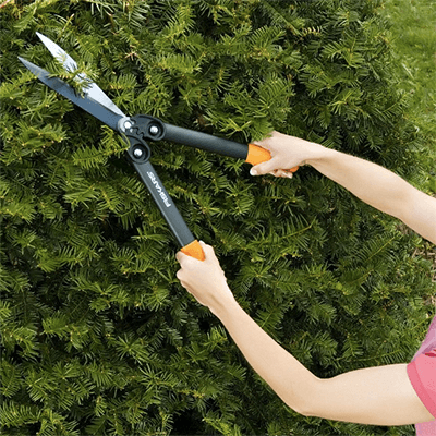 Image for: Cutting & Pruning