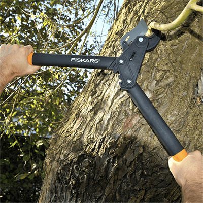 Buy Secateurs, Shears, Loppers and Axes for Garden Pruning ...