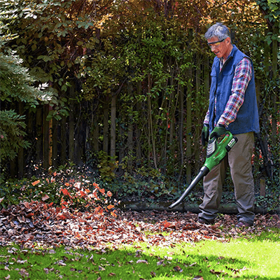 Image for: Leaf Blowers