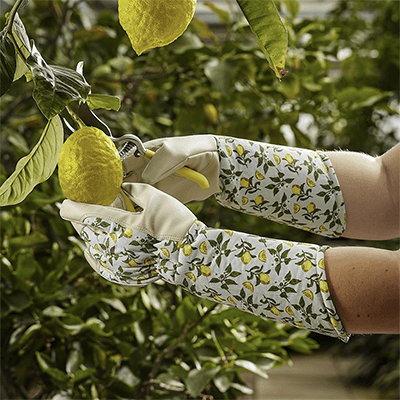 Image for: Gardening Gloves