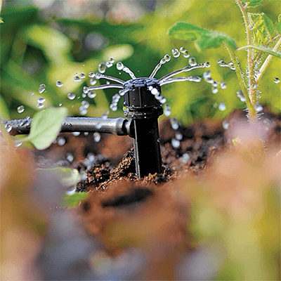 Image for: Automatic Watering