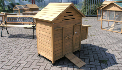 ... Image of Superior Chesterfield Freestanding Chicken Coop with Nest Box