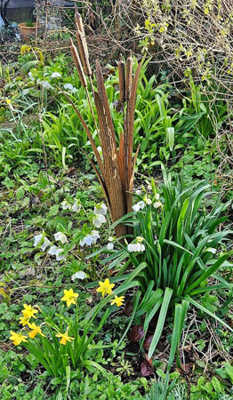 Image of Decorative Reeds Garden Stake