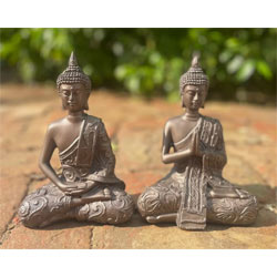 Extra image of 2 Mystic Thai Cold Cast Bronze Buddhas