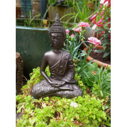 Extra image of 2 Mystic Thai Cold Cast Bronze Buddhas