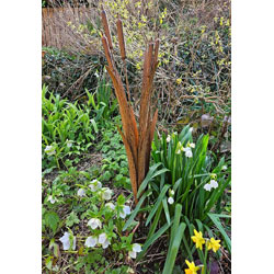 Extra image of Decorative Reeds Garden Stake