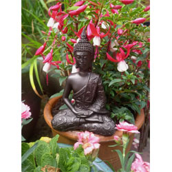 Extra image of 2 Mystic Thai Cold Cast Bronze Buddhas