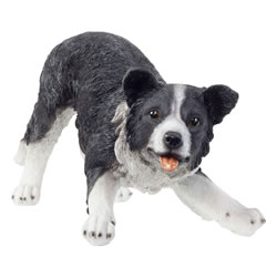 Large Realistic Black & White Herding Border Collie Sheepdog Statue - £ ...