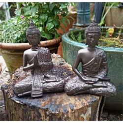 Extra image of 2 Mystic Thai Cold Cast Bronze Buddhas