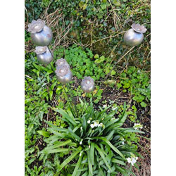 Extra image of Decorative Poppy Heads Border Stake in Sturdy Metal