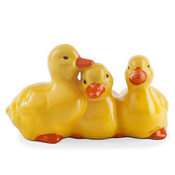 duckling garden4less