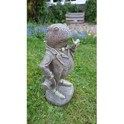 Extra image of Mr Toad Garden Sculpture - Weighted Resin