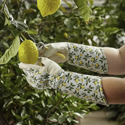 briers lady gardener gloves medium