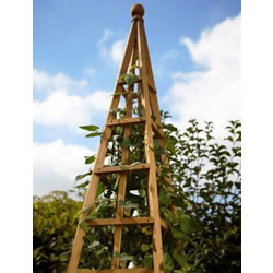 Metal Garden Obelisk & Plant Obelisks