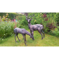 Extra image of Stag and Doe Deer Set Garden Sculptures - Hand Cast in Aluminium