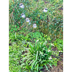 Small Image of Decorative Poppy Heads Border Stake in Sturdy Metal