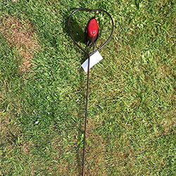 Extra image of Red Robin in a Heart Garden Plant Stake - 1m Tall