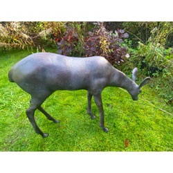 Extra image of Aluminium Grazing Doe Garden Sculpture - Extra Large