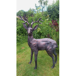 Extra image of Stag and Doe Deer Set Garden Sculptures - Hand Cast in Aluminium