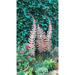 Extra image of Set Of 3 Rustic Giant Fern Wall Art Sculptures